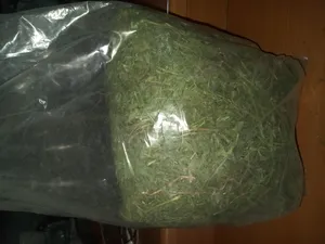 تجریه خرید یونجه خشک خرگوش و جوندگان لوپ هاوانا کد 011 وزن 1000گرم