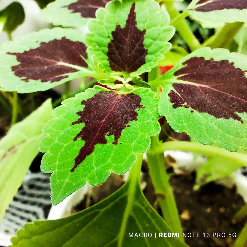 گوشی موبایل شیائومی مدل Redmi Note 13 Pro 5G دو سیم کارت ظرفیت 512 گیگابایت و رم 12 گیگابایت