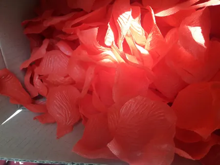 گلبرگ گل مصنوعی شیک و تک مدل DSH 104