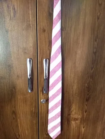 کراوات مردانه والبوش مدل Germany2024