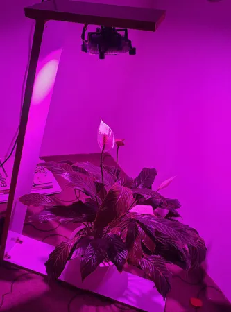 چیپ لامپ رشد گیاه 50 وات مدل 2b72C