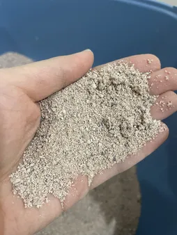 خاک بستر گربه تاینی کت مدل P1 وزن 10 کیلوگرم