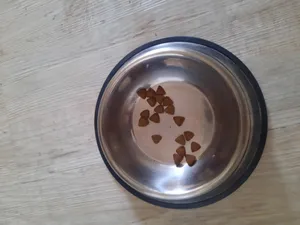 تجریه خرید غذای خشک سگ عقیم شده آروماتیش کد P1009 وزن 2 کیلوگرم