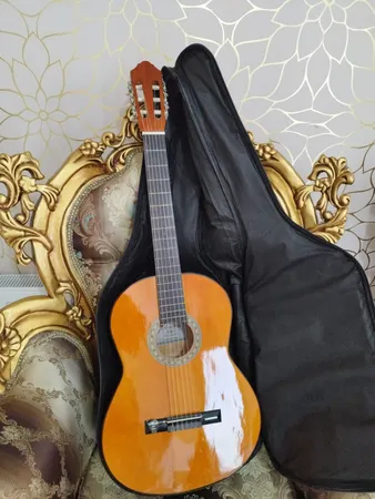 گیتار پرنسس مدل C40