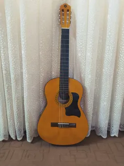 گلپیدور گیتار مدل B050