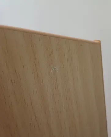 پایه نگهدارنده گوشی موبایل و تبلت مدل RPH0995