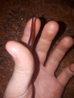 پیک گیتار گیبسون مدل 0.46m