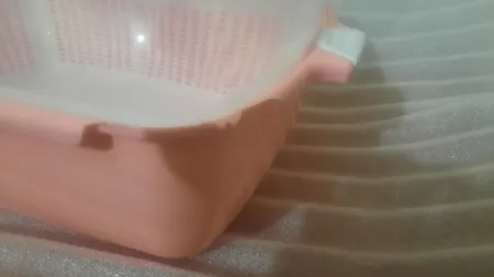 جا نانی لیمون کد dlm04