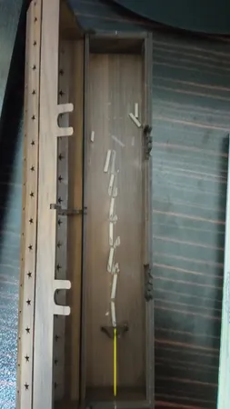 عود هم مدل جنگل بارانی