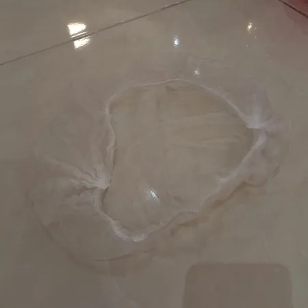 کلاه یکبار مصرف مدل 01 بسته 100 عددی