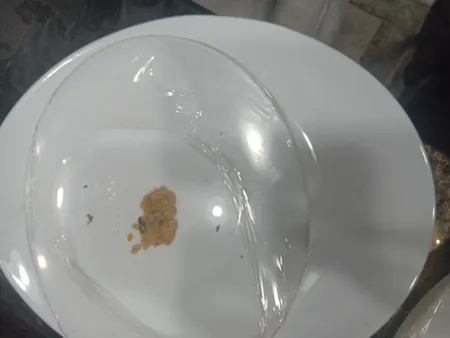 سرویس غذاخوری 26 پارچه گلدن اوپال مدل پرومیتو ورژن 1