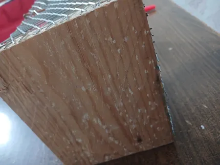 تله موش مدل قفسی