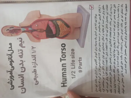 بازی آموزشی طرح مولاژ آناتومی بدن انسان مدل 4040