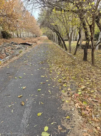 گوشی موبایل سامسونگ مدل Galaxy S25 FE دو سیم کارت ظرفیت 256 گیگابایت و رم 8 گیگابایت - ویتنام