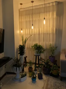 لامپ ادیسونی 60 وات زد اف ار مدل G125 پایه E27