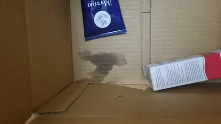 سرم مو آرگان نئودرم مدل نوتریسل مناسب انواع مو حجم 100 میلی لیتر