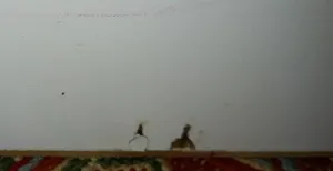 تجریه خرید دراور مدل BD5