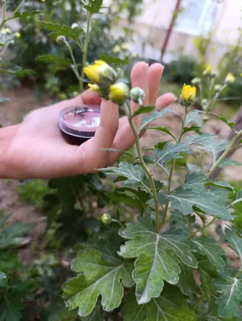 رژگونه لالاتاپ مدل تراکوتا شماره 01