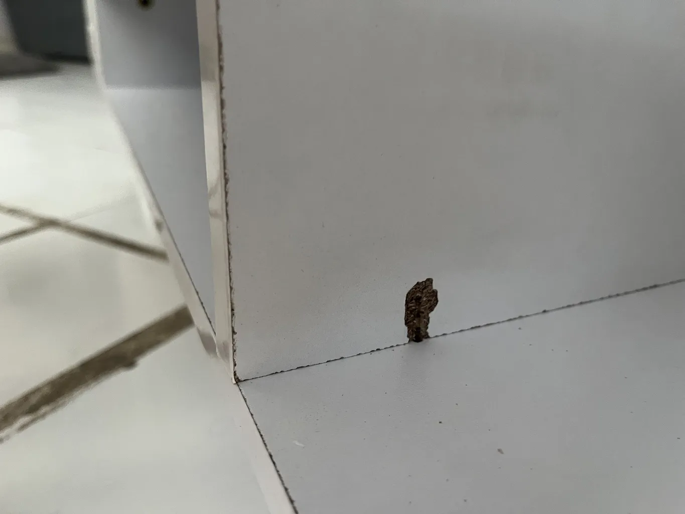 میز تلویزیون مدل لوتوس