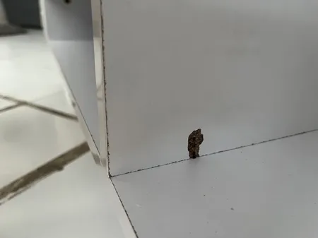 میز تلویزیون مدل لوتوس