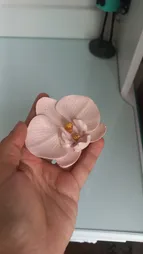 جا عودی مدل گل ارکیده