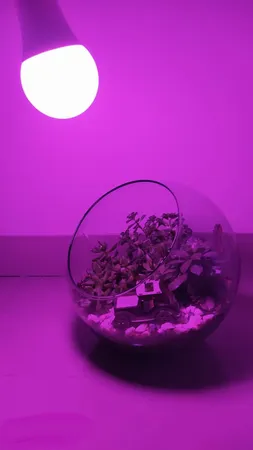 لامپ رشد گیاه ۱۲ وات مدل LR1