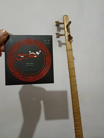 سیم تار و سه تار نوین سیم مدل Medium Tension