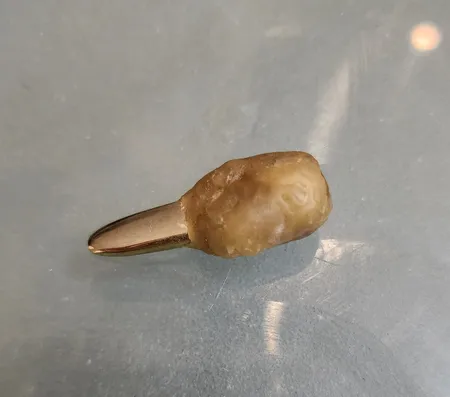 مضراب تار امروزی گردomida02