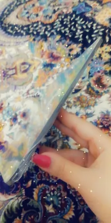 پازل 48 تکه مدل سگ های نگهبان کد MO61