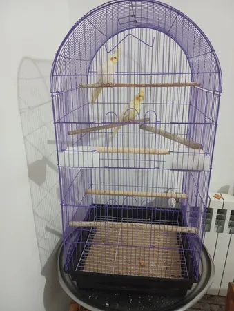 قفس عروس هلندی مدل 1034