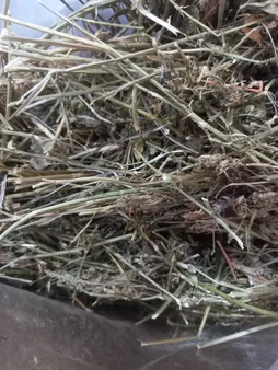 یونجه جوندگان مدل نوین وزن 1000 گرم