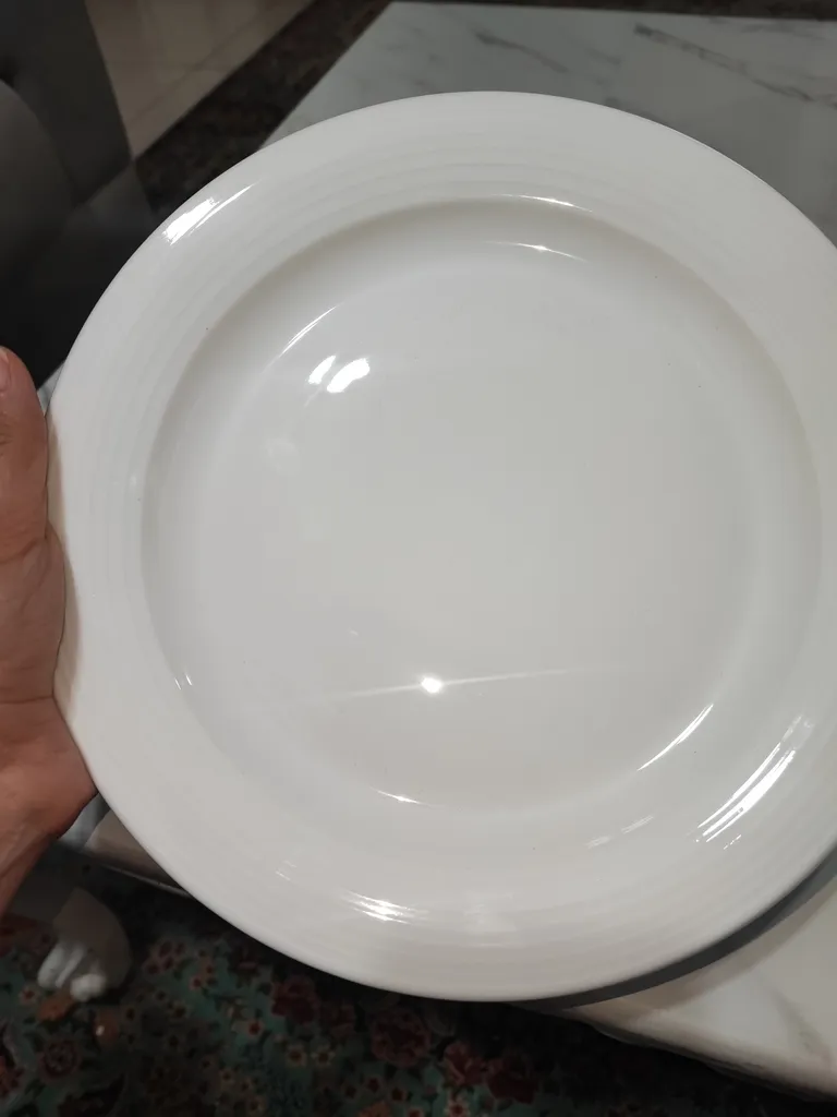 بشقاب غذاخوری چینی زرین ایران سری هتلی 49 کد 25 درجه عالی بسته 6 عددی