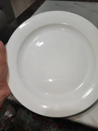 بشقاب غذاخوری چینی زرین ایران سری هتلی 49 کد 25 درجه عالی بسته 6 عددی