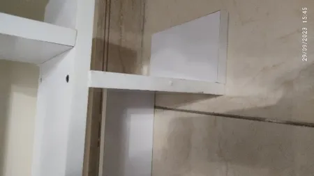 کتابخانه رومیزی مدل کاکتوس