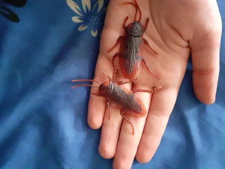 ابزار شوخی مدل سوسک کد shb16