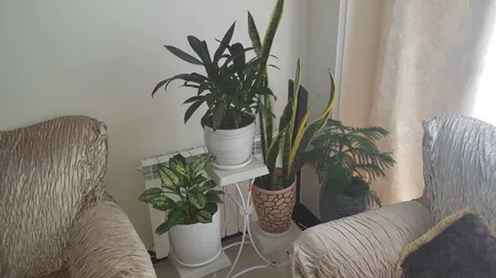 استند گلدان مدل ایفل