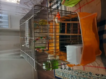 کاور قفس حیوانات کد 1030