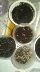 کود ورمی کمپوست گیلدا مدل GV07K وزن 7 کیلوگرم