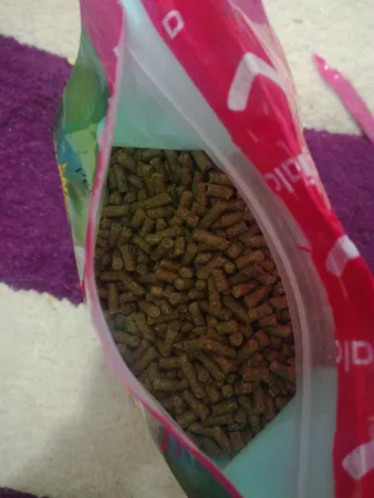 غذای خشک خوکچه هندی تاپ فید مدل Daily Pellet وزن 1 کیلوگرم