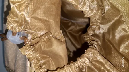 کیف کمری برساد مدل B 403 plus