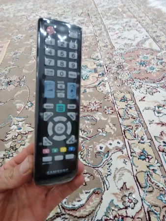 محافظ ریموت کنترل مدل درنا بسته 30 عددی