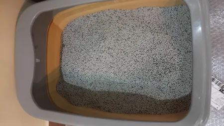 خاک بستر گربه میوکت مدل Carbon Activated Granule وزن ۱۰ کیلو گرم