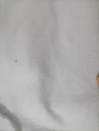 هودی زنانه طرح Not Today کد S361