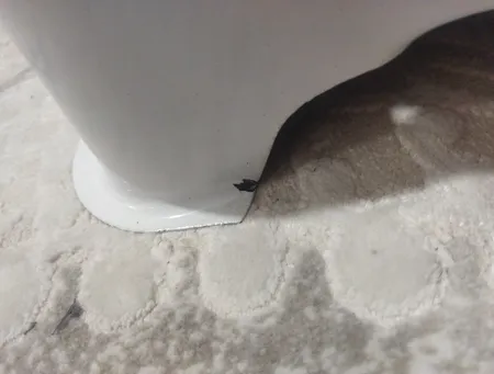 اجاق گاز سفری مدل سه شعله