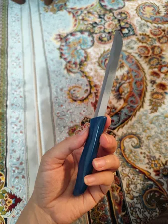 چاقو آشپزخانه فاردینوکس مدل Berlini 02 بسته دو عددی