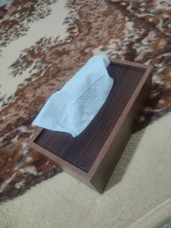جعبه دستمال کاغذی مدل رایکا