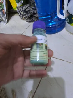 سم قارچ کش و باکتری کش بردوفیکس کد A200 حجم ۶۰ میلی لیتر