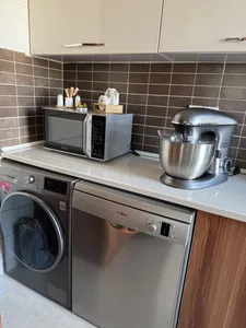 تجریه خرید همزن هیملر مدل HMS 8085-HSMS6065