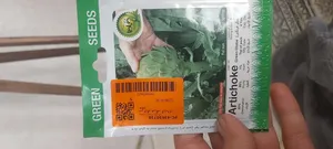 تجریه خرید بذر کنگر فرنگی گیلدا کد 164