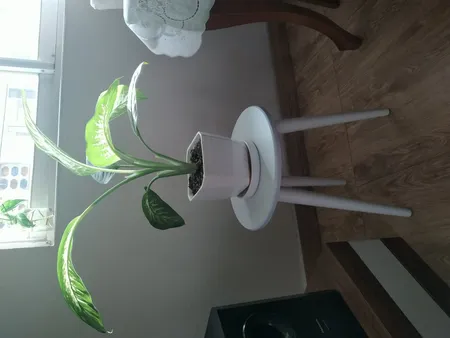 میز عسلی مدل WO3500